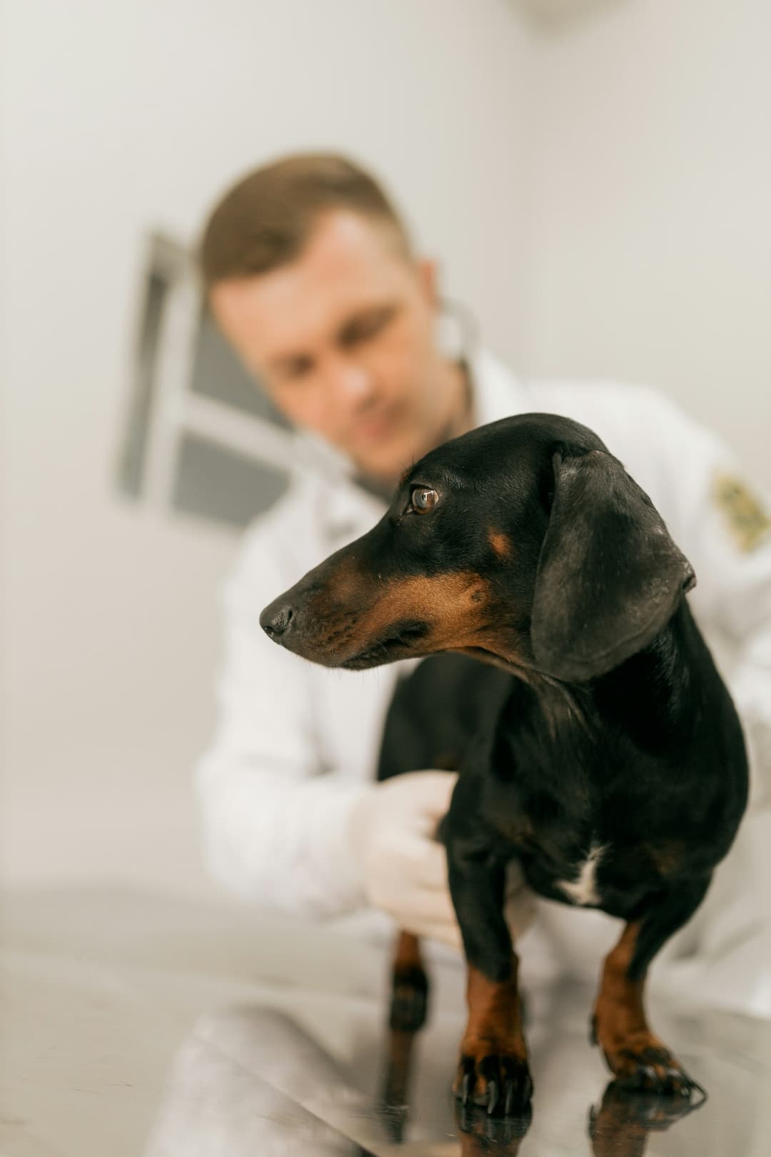 How we verify every shelter on Animly